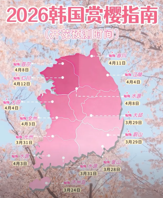 2026韓國櫻花幾月份開？最新花期預測、賞櫻勝地與兩人旅遊費用全攻略
