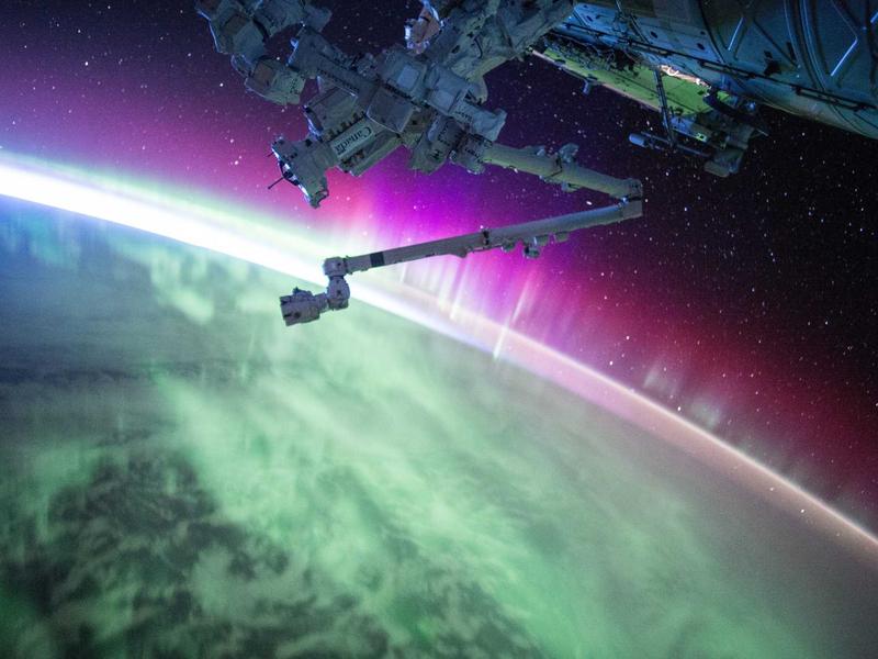 BeautsGO預約平台界面