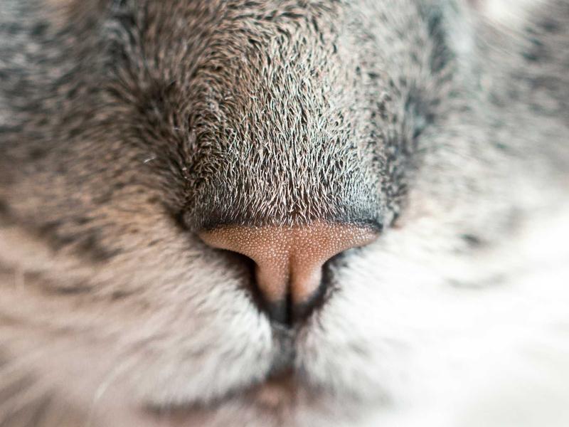 梅宗德皮肤科治療室環境