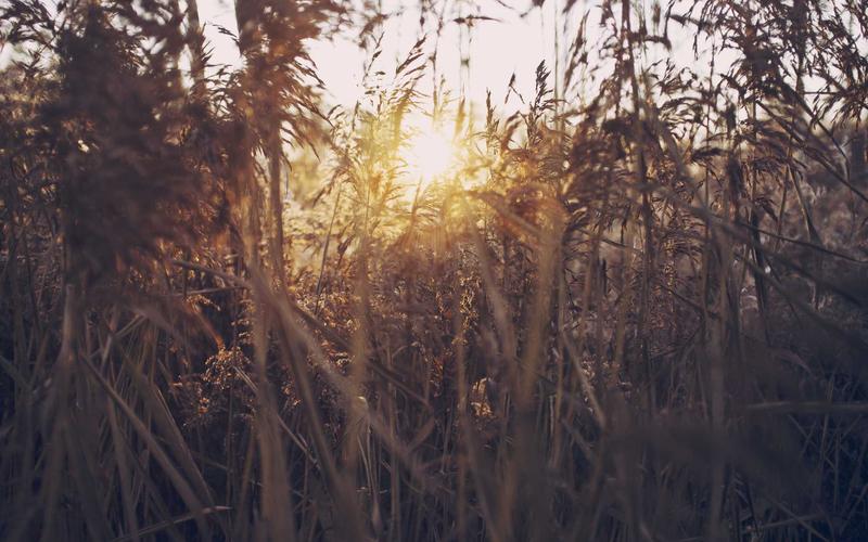 韓國平價皮膚科推薦|精選首爾5間高性價比診所,明洞弘大各有亮點插图4 BeautsGO預約韓國皮膚科平台界面