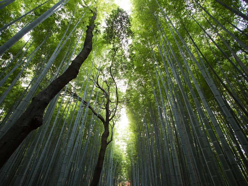 韓國平價皮膚科推薦|精選首爾5間高性價比診所,明洞弘大各有亮點插图 首爾明洞聚集了眾多高性價比平價皮膚科診所