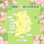🌸 韓國旅遊打卡路線｜首爾櫻花最佳時間＋4 天 3 晚行程全整理