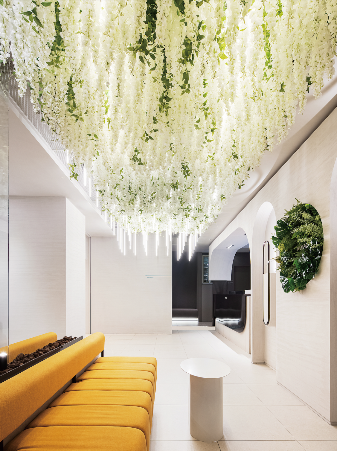 Saya telah pergi ke BioFace di Seoul dan merakamkan seluruh proses perubatan tersebut! Adakah ia seperti barisan pengeluaran atau lebih seperti kedai harta karun?缩略图