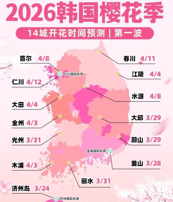 2026濟州島櫻花季：時間預測×熱門賞花地點