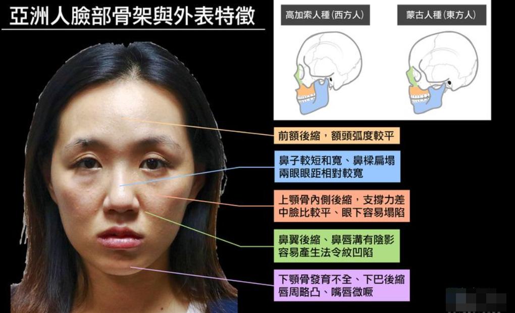 2026年韓國的脂肪溶解針費用是多少?首爾實際測試結果:面部治療的費用最低為3萬韓元,雙下巴治療的費用則最低為1.9萬韓元。插图4 首爾脂肪溶解針的注射部位圖片