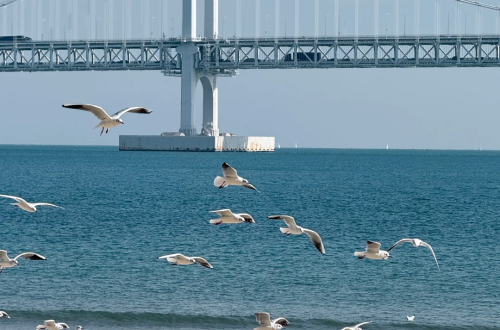 釜山自由行全攻略：5 天 4 夜景點地圖、必吃美食、西面醫美推薦 (台灣人必看懶人包)缩略图