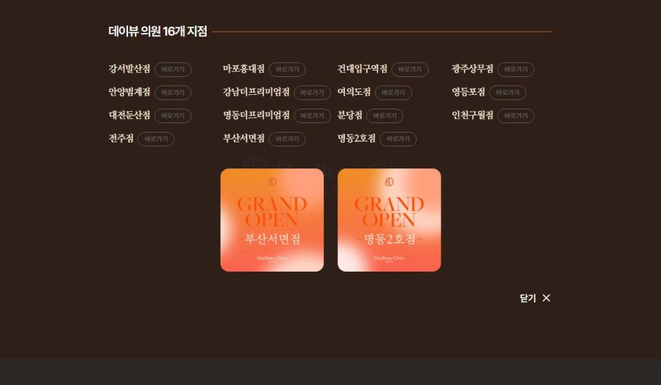 DayBeau 데이뷰 의원 弘大旗艦店官網首頁