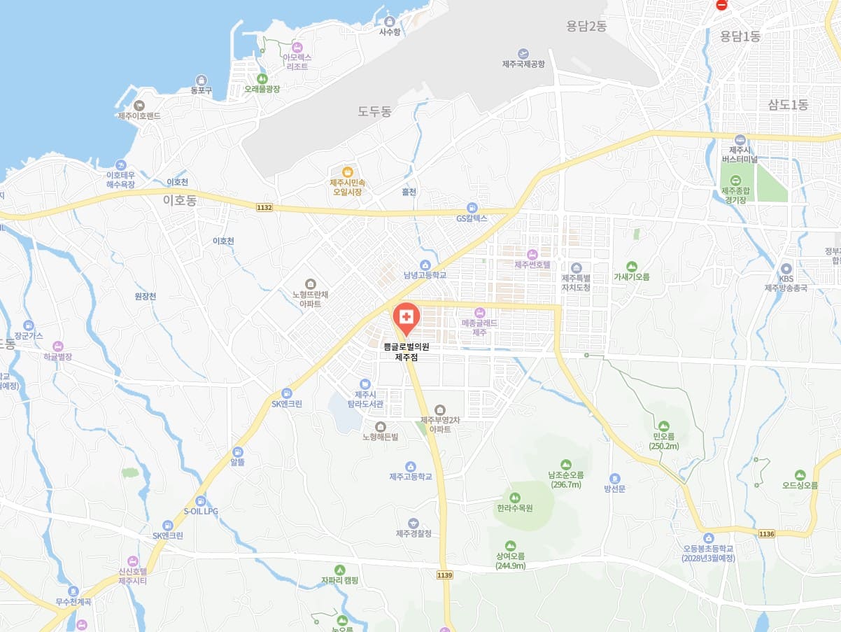 濟州島自由行變美攻略|ppeum 皮膚科麗芬聚 Dcard 評價 4.8 星,從預約到術後逛街完整教學 2 ppeum Jeju clinic