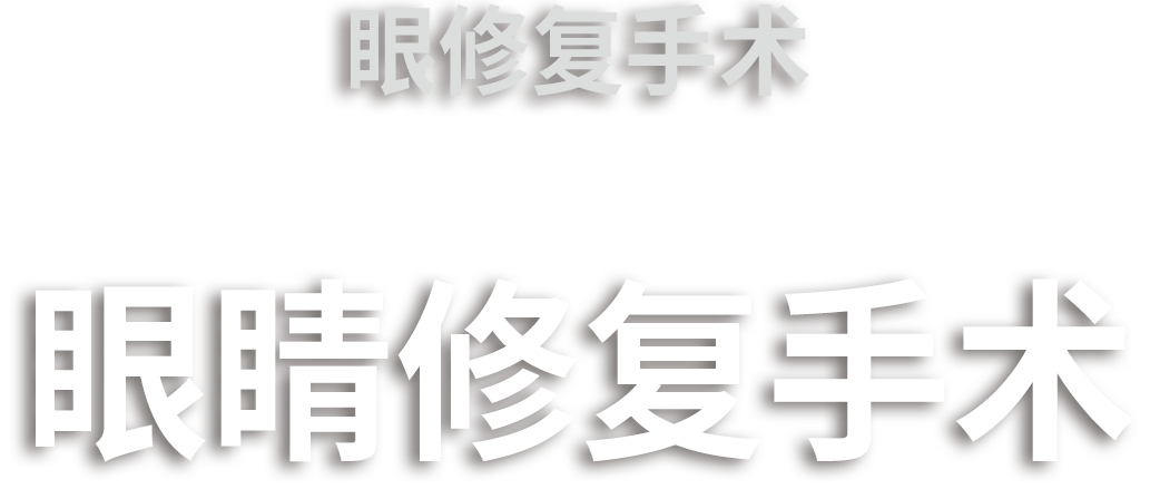 안구 수술 기술 설명 도면