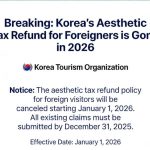 What Singapore Patients Often Overlook When Going to Korea for Aesthetic