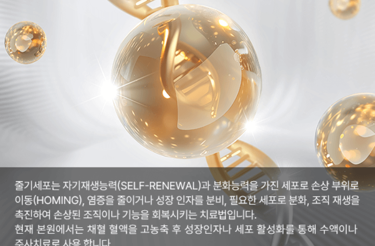 Is This Seoul’s Best Kept Secret? Why Singaporeans are Flying to Cheongdam Antian for the Ultimate Glow-Up!插图2