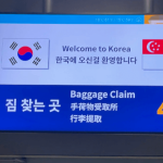 I Planned a K-Beauty Trip from Singapore! Here’s if You Need a Visa, the Flight Duration & My Top Clinic Picks.缩略图