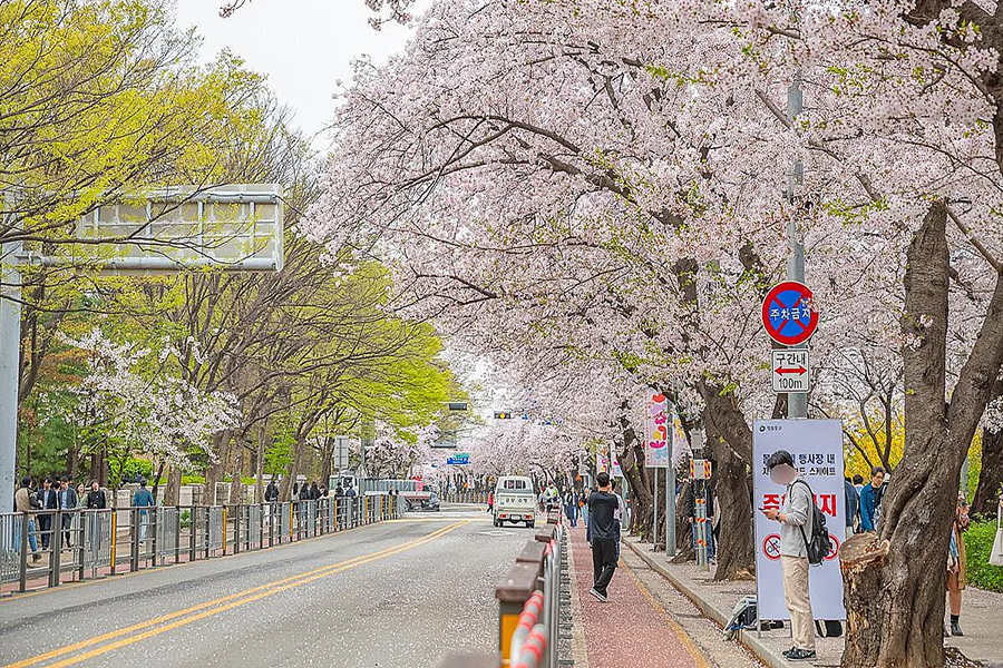 什么是韩国的“红色标志皮肤科”？一次性弄清楚“Dermatology”与“Clinic”的区别｜去韩国做医美手术时选择医院的指南插图5
