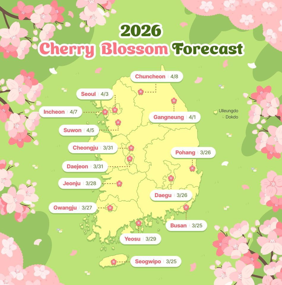 2026年韩国樱花季终极攻略|在首尔赏樱花、旅行还能美容,一举多得(附BeautsGO预订经验分享)