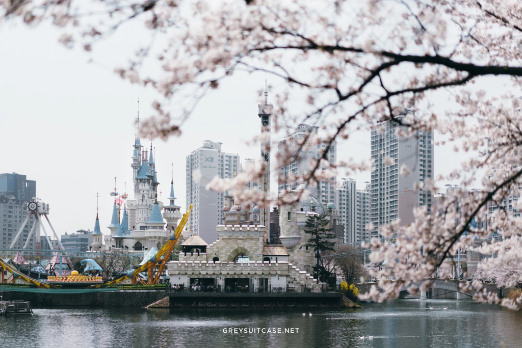 2026年韩国首尔赏樱活动时间预测|赏樱地点推荐 + BeautsGO预约皮肤科服务的攻略插图5 2026年韩国首尔赏樱活动时间预测|赏樱地点推荐 + BeautsGO预约皮肤科服务的攻略插图5