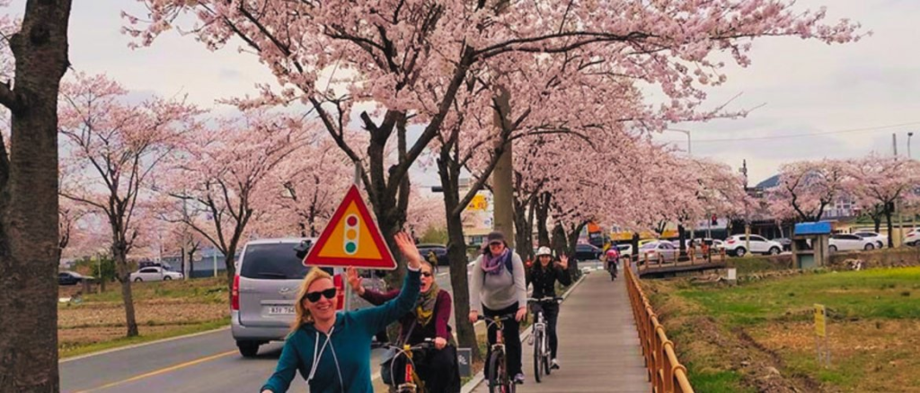 2026年韩国首尔赏樱活动时间预测｜赏樱地点推荐 + BeautsGO预约皮肤科服务的攻略插图7