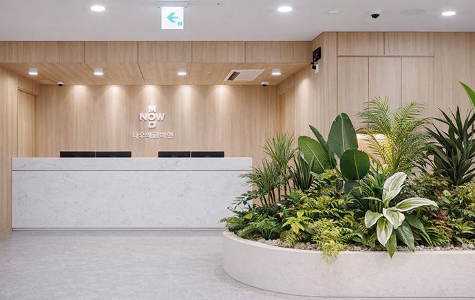 濟州島NowMedi皮膚科怎麼樣?靠譜嗎?深度評測:資質、項目、價格全解析缩略图 濟州島NowMedi皮膚科怎麼樣?靠譜嗎?深度評測:資質、項目、價格全解析