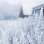 釜山皮膚科水平比首爾好嗎？費用、技術、外語服務三個面向幫你比清楚缩略图