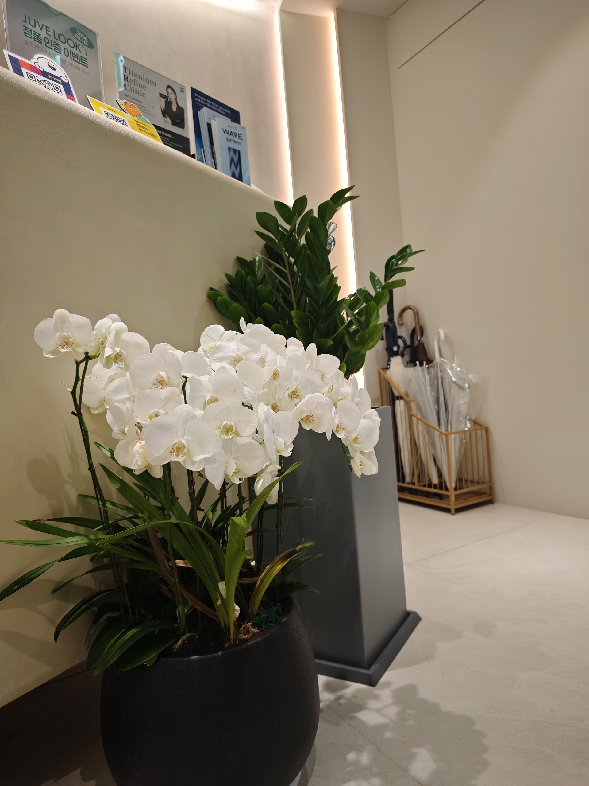 The reception area at DAN-A Dermatology