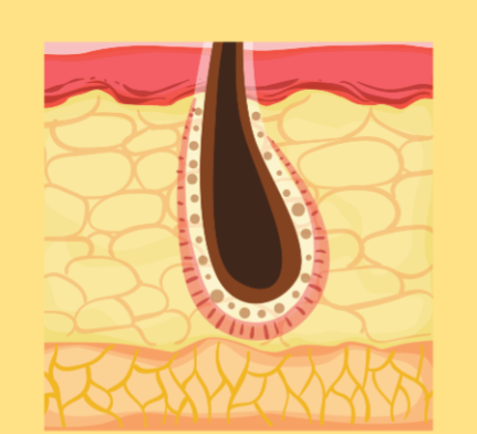韓國醫美診所環境