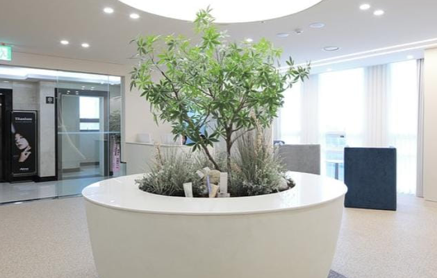 Oaro皮膚科蘆原店治療室與設備